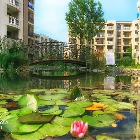 Cascadas Pool View Luxury Sunny Солнечный берег