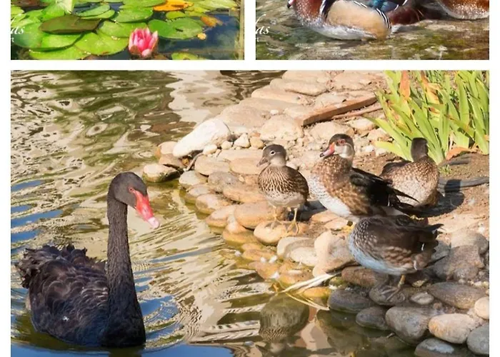 Cascadas Pool View Luxury Sunny 阳光海滩